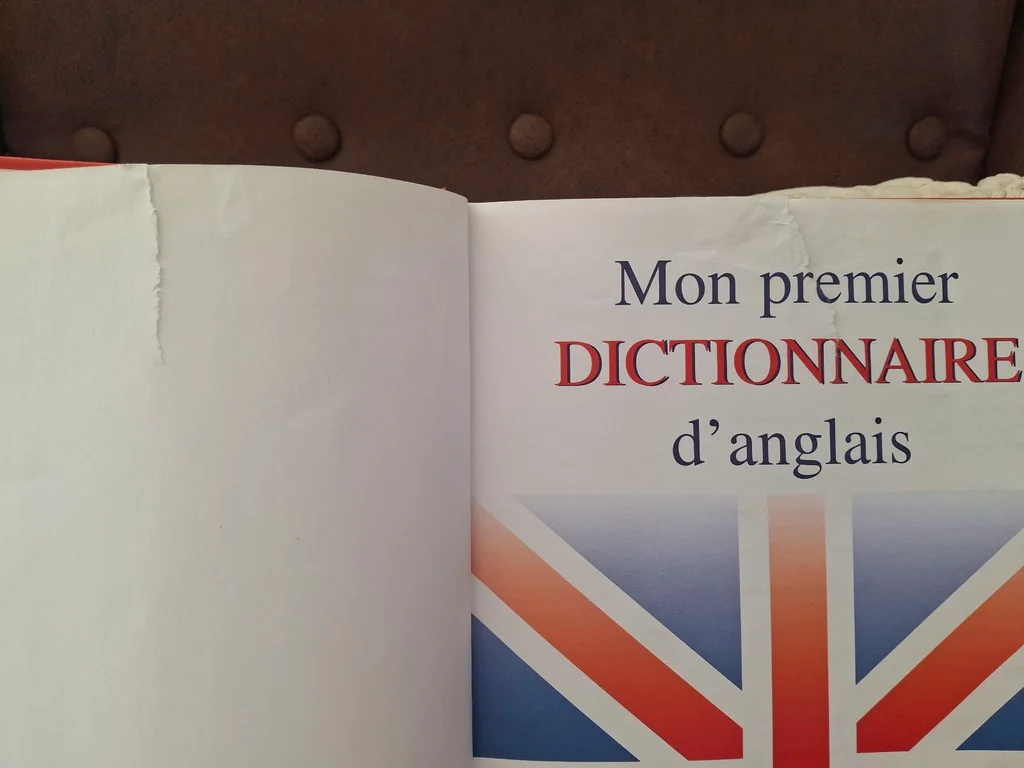 Vintage My First English Dictionary 10000 Words and Illustrations – photo 3